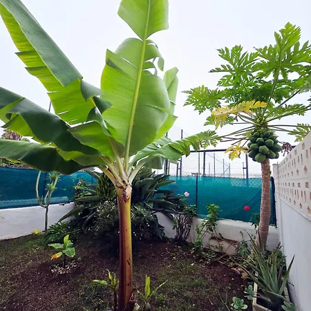 Aa Guest - Romantica Front Sea Views Eco Apartmán Los Realejos